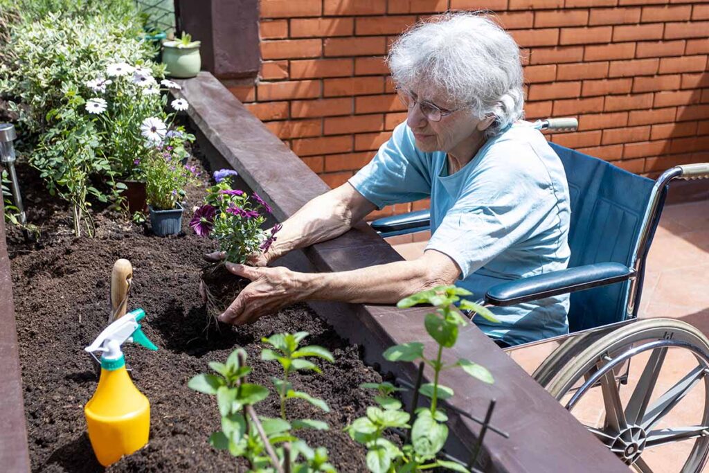 Garden Snips