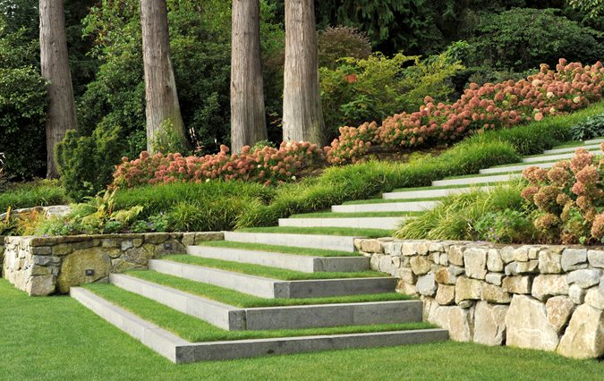 Landscape Design In Greenville, SC