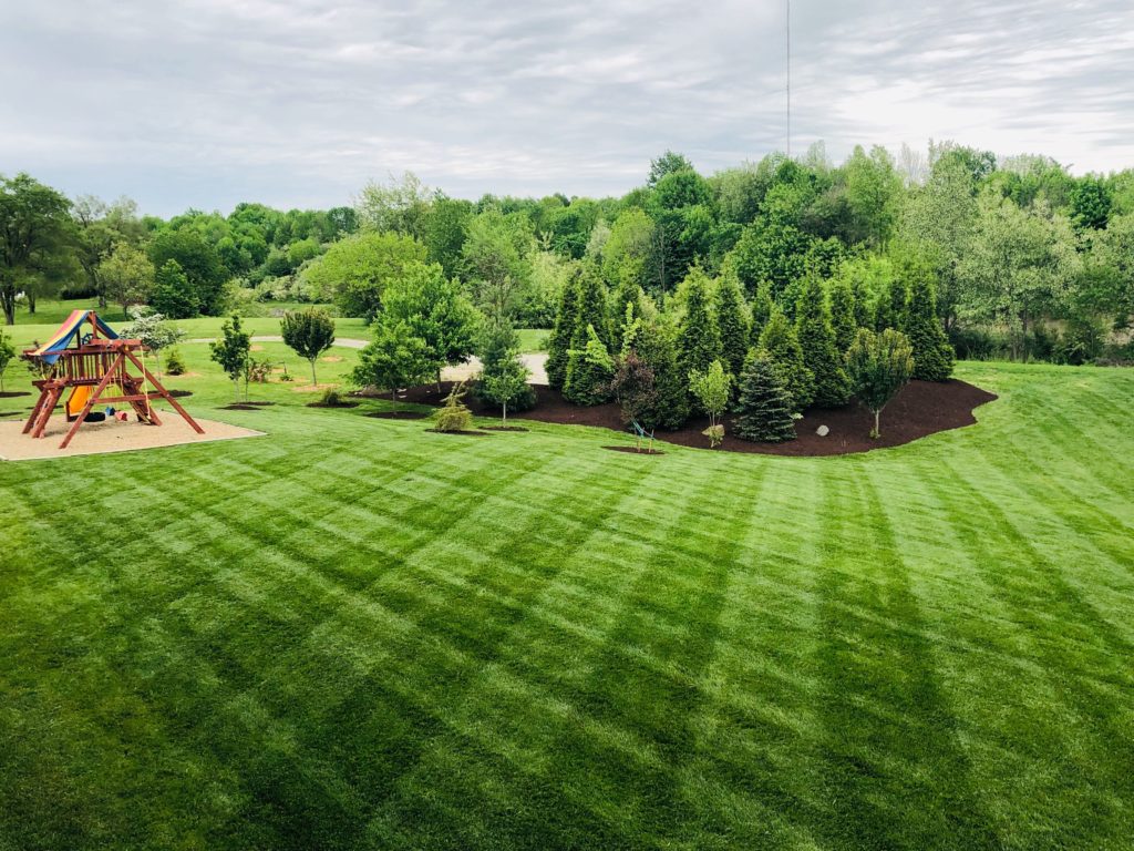 Maverick Lawn & Landscaping